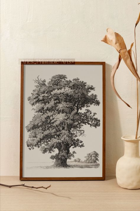 Digital Downloadable Antique Print With Tree Sketch | #SK301 | This is a pencil sketch vintage artwork with rich wood that will fill your space with modest mood. It's an excellent art for those who love cottage aesthetics | printable wall art, cottagecore idea, vintage sketch art, rustic wall art, vintage wall décor, antique painting, floral wall art, minimalist art, vintage art print, pencil sketch, black and white art, sketch art, digital printable Hannah House, Sketch Black And White, Tree Sketch, Art Cottagecore, Antique Painting, Digital Art Poster, Tree Sketches, Painting Floral, Printable Vintage