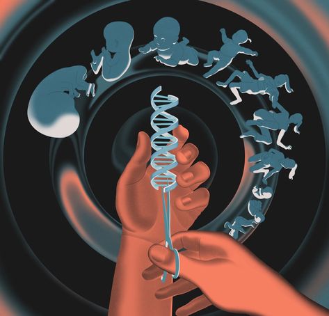 The Transformative, Alarming Power of Gene Editing | The New Yorker Biotechnology Art, Aesthetic Science, Gene Editing, Dna Art, Genetic Counseling, Scientific Poster, Molecular Genetics, Human Embryo, Nurse Inspiration