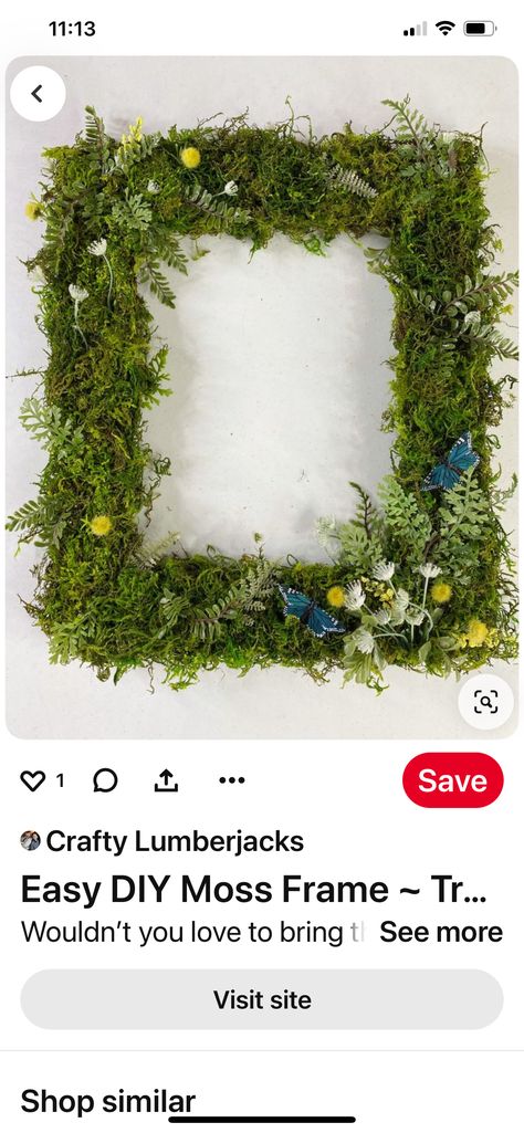 Moss Art Frame, Preserved Moss Art, Moss Frame Diy, Moss Frame, Frame Diy, Moss Art, Preserved Moss, Diy Frame, Art Diy