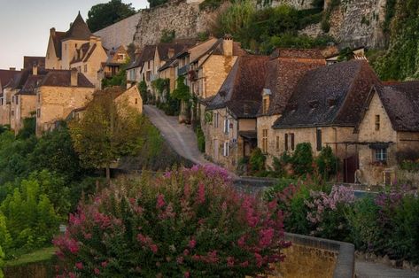 Morning Light, Trees, France, Stone, Flowers