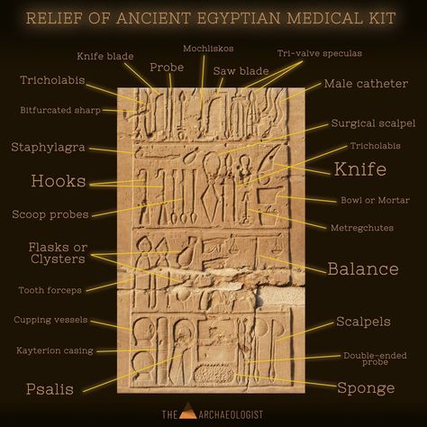 Medicine in Ancient Egypt African Civilization, Ancient Egyptian Medicine, Aliens History, Egypt Project, Branches Of Science, Medical Tools, Medical Herbs, History Facts Interesting, Medical Kit