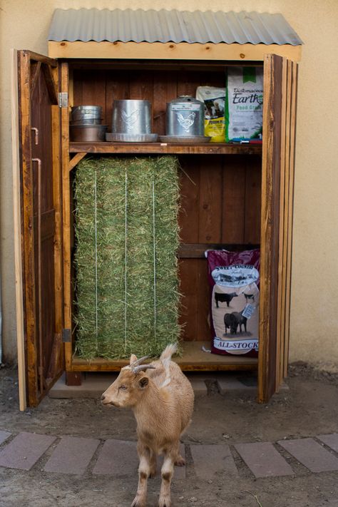 Goat Feed Storage Ideas, Chicken Food Storage Backyard, Chicken Coop Food Storage Ideas, Chicken Storage Ideas, Chicken Coop Food Storage, Bunny Food Storage Ideas, Outdoor Pet Food Storage Ideas, Livestock Food Storage Ideas, Rabbit Food Storage Ideas