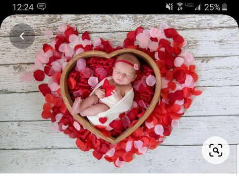 Newborn Valentine Pictures, Valentines Baby Photoshoot, Valentines Baby Photos, Baby Holiday Photos, Baby Photoshoot Ideas, Valentine Photo Shoot, Monthly Baby Pictures, Valentine Picture, Valentines Day Pictures