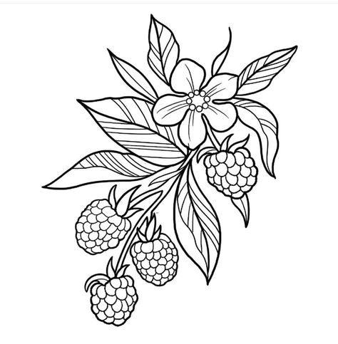 Raspberry Branch Drawing, Rasberry Tattoos Simple, Botanical Stencil, Blackberry Tattoo Design, Raspberry Tattoos, Berry Tattoo, Fruit Tattoo Ideas, Raspberry Tattoo, Filler Tattoo Designs