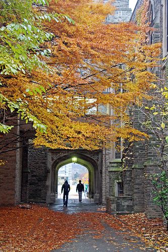 On a cold overcast Saturday afternoon, the fall leaves decorate the entrance to a passageway by one of the older buildings at McMaster University in Hamilton. University Ideas, Beautiful University, Mcmaster University, Post Secondary Education, I Am Canadian, Mcgill University, Dream College, Hamilton Ontario, College Town