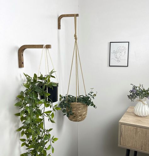 This beautiful 6"x4" wooden planter hook for wall makes for the perfect addition to any living space. Perfectly handmade with a minimalist design, the rectangular bracket is both stylish and supportive for your plants. It includes all hardware for easy installation on both brick and concrete walls. An excellent choice for any plant-lovers. DIMENSIONS: Plant Hanger Hook (LxH) - 6 inch x 4 inch (15 cm x 10 cm) PRODUCT MATERIAL: Birch Plywood, hand-finished COLOR: Walnut MAX LOAD: Up to 9 lb (4 kg) Wall Hung Plant Pots, Hanging Plant Pole Indoors, Bay Window Wall Decor, Plant Hanging From Wall, Propagation Wall Living Room, Plants On Hooks, Hanging Plant In Living Room, Hanging Plants From Wall, Hanging Plant On Wall