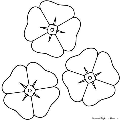 coloring page Poppy Craft For Kids, Veterans Day Poppy, Anzac Poppy, Poppy Template, Veterans Day Coloring Page, Remembrance Day Activities, Poppy Coloring Page, Remembrance Day Art, Poppy Craft