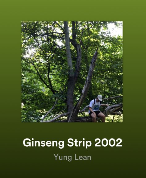 Gg Allin Poster, Ginseng Essence, Ginseng Strip 2002, Fresh Ginseng, Ginseng Supplement, Yung Lean Ginseng Strip 2002, Yung Lean, Music Poster, Songs