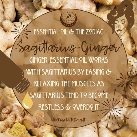 Herbs For Sagittarius, Zodiac Herbs, November Magick, Incense Magic, Dratini Pokemon, Herb Bath, Magick Oil, Zodiac Aesthetic, Herbal Witch