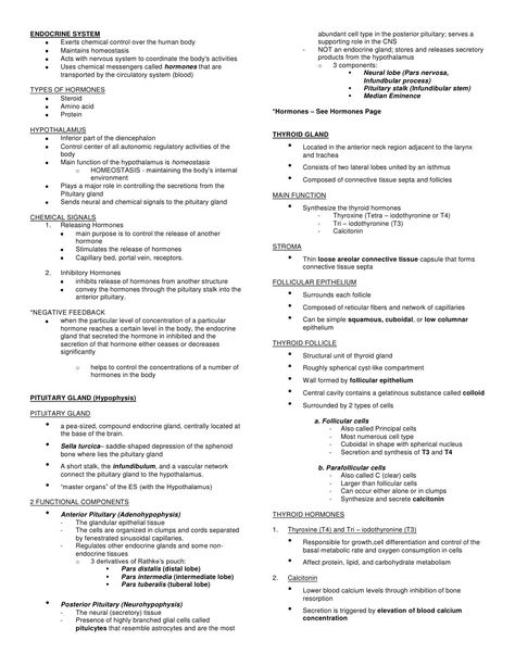 Endocrine System Notes Aesthetic, Endocrine System Notes, Nutrition Notes, Endocrine System Hormones, Endocrine System Nursing, Physiology Notes, Nursing School Studying Cheat Sheets, Teas Test, Nurse Study Notes