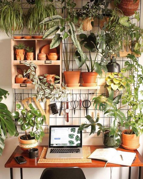 11 tips for styling an epic plant shelfie at home Plant Display Ideas, Plant Goals, Hanging Plants Indoor, Deco Nature, Plant Decor Indoor, Plant Aesthetic, House Plants Decor, Room With Plants, House Plants Indoor