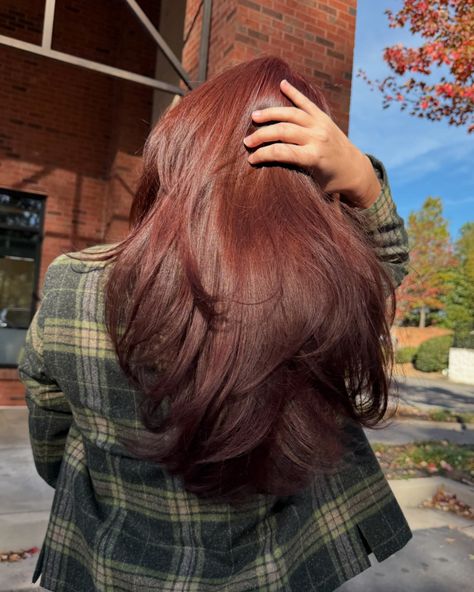 pov: you changed your hair to go with the season🍁 We took her from a dark brunette to a warm, natural dark red (WITHOUT BLEACH) which perfectly complements her features and captures those autumn vibes. #atlhair #atlhairstylist #alpharettahair #hair #alpharetta #hairstylist #redhair Dark Brownish Red Hair, Brown Hair Transformation, Hair Color Without Bleach, Red Hair Without Bleach, Dark Reddish Brown Hair, No Bleach Hair Color, Cherry Brunette Hair, Dark Brown Red Hair, Dark Red Balayage