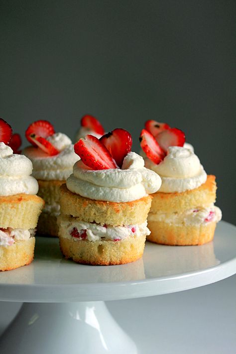 Mini Victoria Sponge Cake, Mini Victoria Sponge Cakes, Mini Victoria Sponge, Cap Cake, Christmas Feast, Sponge Cakes, Victoria Sponge Cake, Cake Mini, Vanilla Sponge Cake