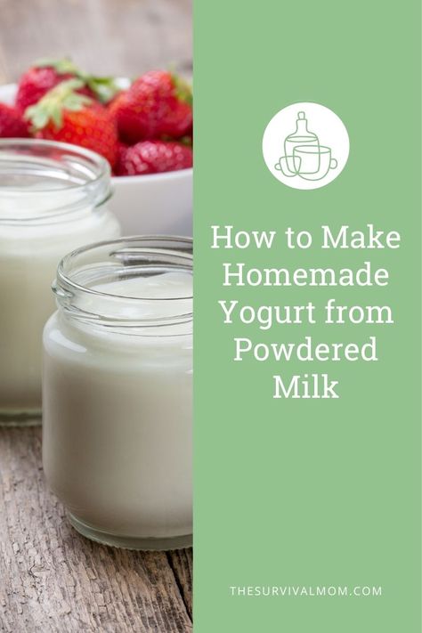 How to Make Homemade Yogurt from Powdered Milk Powdered Milk Recipes, Yogurt Homemade, Homemade Yogurt Recipes, Make Greek Yogurt, Pantry Challenge, Homemade Greek Yogurt, Frozen Yogurt Recipes, Making Yogurt, Gourmet Grilled Cheese