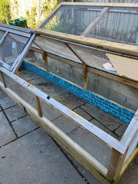 Updating my Tortoise Enclosure- rodent-proofing, painting, equipment. – All Homesteading Redfoot Tortoise Enclosure Outdoor, Redfoot Tortoise Enclosure, Tortoise Enclosure Outdoor, Redfoot Tortoise, Outdoor Tortoise Enclosure, Painting Equipment, Tortoise Enclosure, Top Soil, Rodents