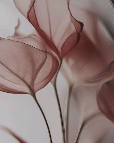 Iphone Wallpaper Aesthetic Floral, Spa Aesthetic Wallpaper, Esthetician Aesthetic Background, Esthetician Aesthetic Wallpaper, Abstract Wallpaper Aesthetic, Pink Abstract Wallpaper, Esthetician Aesthetic, Vogue Wallpaper, Iphone Wallpaper Lights