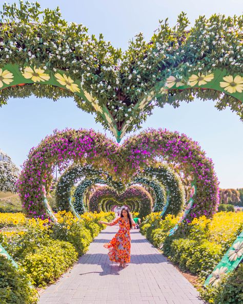 Dancing with joy in the world’s biggest flower land⁣ 😊 💃 Dubai Miracle Garden is world's largest natural flower garden featuring over 50 million flowers and 250 million plants. #flowerpower #flowerporn Million Flowers, Miracle Garden, Dubai Vacation, Dubai Aesthetic, Dubai Tour, Family Tour, Visit Dubai, Dubai City, Dubai Travel