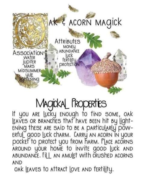 Witchy Herbs, Herbal Grimoire, Herbs For Protection, Magic Plants, Magickal Correspondences, Magical Plants, Book Of Shadows Pages, Magickal Herbs, Nature Witch