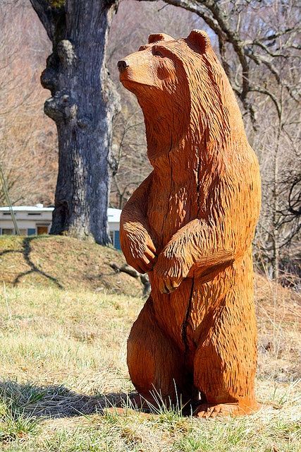 Chainsaw Beaver Carvings for Sale | Bear Chainsaw Carving 2 by antoinette qtks on Flickr Chainsaw Carving Ideas, Simple Wood Carving, Bear Sculptures, Wooden Bear, Bear Carving, Got Wood, Tree Carving, Chainsaw Carving, Wood Carving Patterns