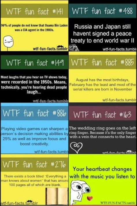 Cool facts Face Fun, Useless Knowledge, Cia Agent, Mind Blowing Facts, August Birthday, Random Facts, People Laughing, To Infinity And Beyond, True Facts