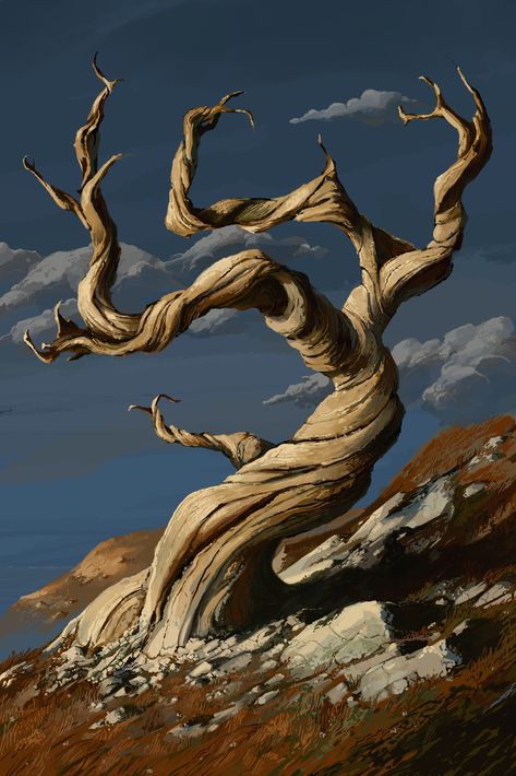 Morning Tree, Martin Le Borgne on ArtStation at https://www.artstation.com/artwork/qrrGe Twisting Tree, Tree Trunk Art, Forest Trees Drawing, Twisted Branches, Tree Painting Ideas, Twisted Tree Tattoo, Twisted Tree Art, Gothic Tree, Trees Art