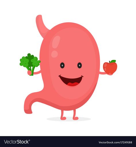 Sweet Osmanthus, Human Body Projects, Healthy Stomach, Cute Powerpoint Templates, Food Illustration Design, Apple Vector, Improve Nutrition, Adobe Illustrator Design, Simple Nutrition