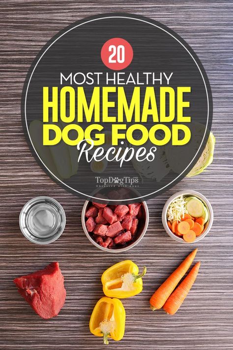 Healthy Dog Food, Home Cooked Dog Food, Cook Dog Food, Diy Dog Food, Make Dog Food, Dessert Simple, Food Dog, Raw Dog Food Recipes, Dog Nutrition