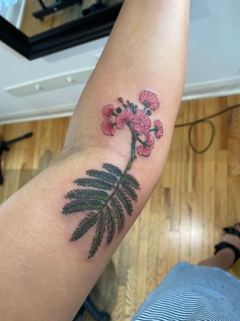 Mimosa Tree Tattoo, Mimosa Flower Tattoo, Sticker Sleeve, Pink Mimosa, Cute Thigh Tattoos, Flower Tat, Mimosa Tree, Wrap Tattoo, Mimosa Flower