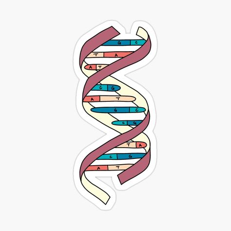 Get my art printed on awesome products. Support me at Redbubble #RBandME: https://www.redbubble.com/i/sticker/DNA-Strand-by-KatherineWinner/142220649.EJUG5?asc=u Microbiology Stickers, Biology Stickers, Dna Sticker, Study Stickers, Dna Strand, Funny Laptop Stickers, Medical Stickers, Science Stickers, Flower Graphic Design