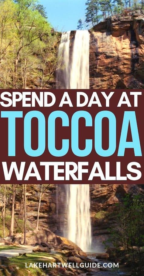 Why You Absolutely Must Visit Toccoa Falls Georgia Waterfalls, Waterfalls In Georgia, Toccoa Falls, Lake Hartwell, Hiking In Georgia, Family Fishing, Helen Georgia, Fun Trips, Visit Georgia