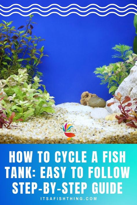 photo of an empty fish tank How To Set Up A Fish Tank, How To Cycle A Fish Tank, Simple Fish Tank, Fish Infographic, Cool Fish Tank Decorations, Nano Reef Tank, Fish Healthy, Fish Garden, Goldfish Tank