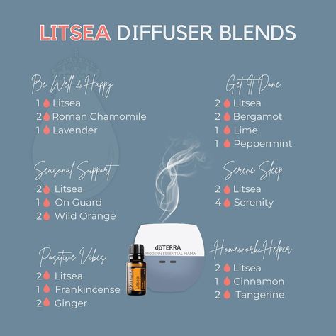 Victoria B. McAdams on Instagram: “Litsea has become one of my favorite oils to diffuse. I know it’s not a permanent oil in the U.S market but I’m grateful we had the…” Litsea Diffuser Blend, Diffuser Scents, Victoria B, Roman Chamomile, Diffuser Blend, Wild Orange, Essential Oil Diffuser Blends, Oil Diffuser Blends, Essential Oil Blend