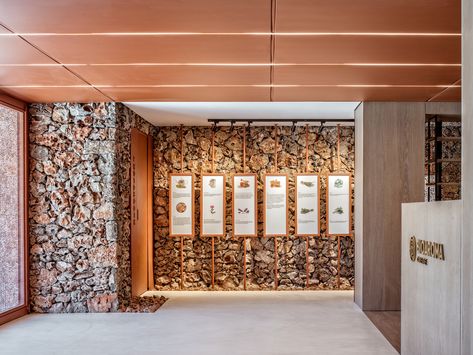 Gallery of Bioaroma Museum & Experience Store / KAAF | Kitriniaris Associates Architecture Firm - 17 Store Display Design, Museum Experience, Store Architecture, Museum Interior, Colour Architecture, Modern Office Interiors, Soul Design, Museum Displays, Traditional Building