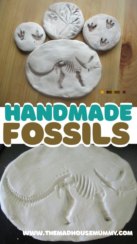 These sweet little handmade fossils are the prefect craft for children who love dinosaurs and archaeology! Diy fossil craft for kids. #craftsforkids #claycraftsforkids #fossilhunting #craftsforpreschoolers #dinosaurcrafts Make Your Own Fossils, How To Make Dinosaur Fossils, Fossil Imprint Activity, Diy Dinosaur Fossils, Kids Fossil Dig, Fossil Projects For Middle School, Fossil Projects For Kids, Dino Fossil Craft, Archeology Activities For Kids