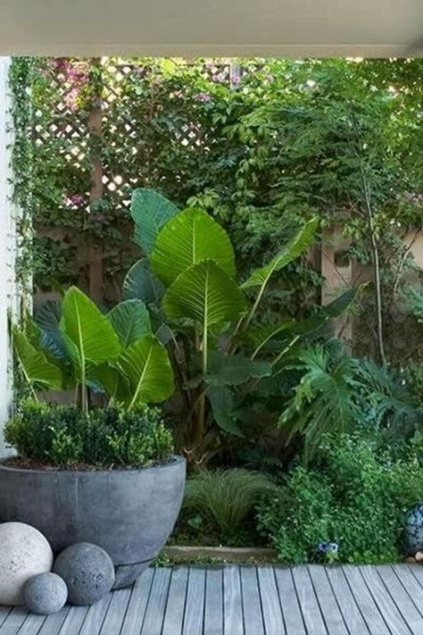 38 Stunning Ideas to Turn Your Boring Garden into a Cool Tropical Garden Tropical Garden Plants, Tropical Backyard Landscaping, Small Tropical Gardens, Bali Garden, Tropical Landscape Design, Small Courtyard, Garden Patio Decor, Tropical Garden Design, Small Courtyard Gardens