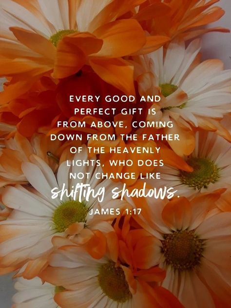 James 1 17, Thanksgiving Week, Thanksgiving Break, Gods Love Quotes, End Of The Week, Prayer Verses, The Giver, Bible Teachings, Bible Verses Quotes Inspirational