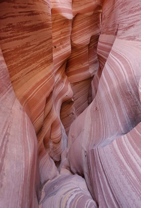 Zebra slot canyon, Escalante, Utah Pink Canyon, Escalante Utah, Monochromatic Interior, Vacation Wishes, Arizona Vacation, Grand Staircase Escalante, Sunset Surf, Utah Adventures, Escalante National Monument