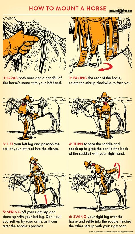 Learning how to ride a horse well can take years. It involves understanding the nuances of a horse’s behavior and how your own behavior communicates your intent to them. But, with a few basics you can certainly get at least a taste of that childhood dream. The first step? Getting on. Mounting A Horse, Survival Hacks, Art Of Manliness, Survival Life Hacks, Survival Stuff, Survival Techniques, Apocalypse Survival, Survival Life, Wilderness Survival