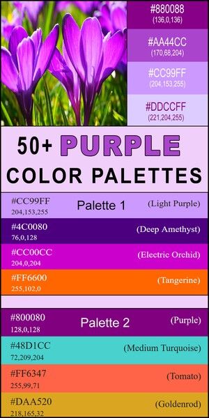 Purple Color Palette (Combinations, Schemes & Ideas) – DIY Projects, Patterns, Monograms, Designs, Templates Quilt Color Schemes Colour Palettes, Colors That Go With Lavender, Purple Color Palette Combination, 3 Color Palette Colour Schemes, Color Combos Colours That Go Together, Color Palette Purple Colour Combinations, Colors That Go With Purple, What Colors Go With Purple, Purple And Orange Color Palette