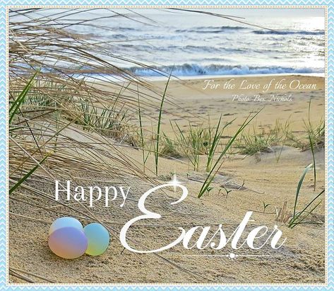 beach lovers Easter At The Beach, Seasonal Quotes, Happy Easter Messages, Happy Easter Quotes, Spring Scenery, Happy Easter Greetings, Spring Entertaining, Easter Messages, Holiday Pics