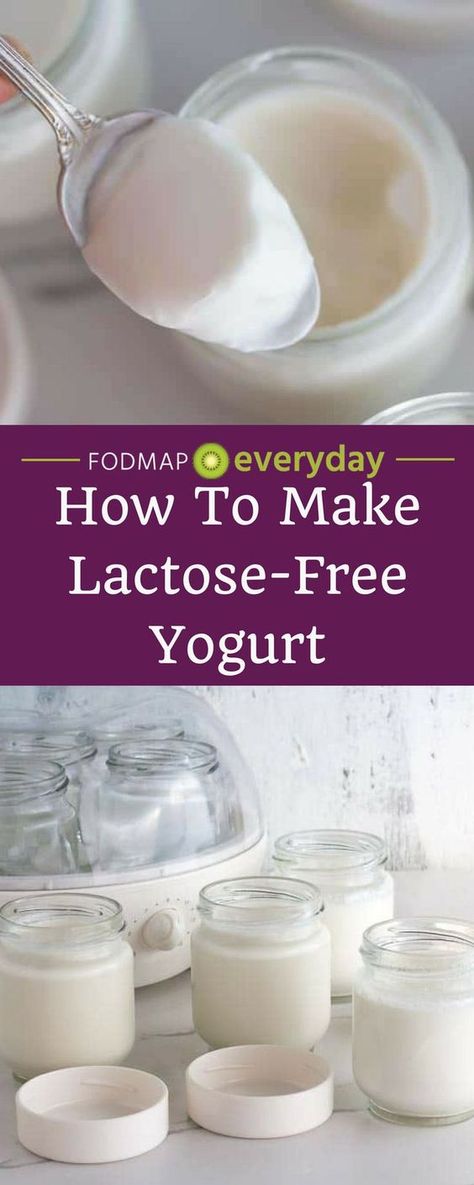 We used a yogurt maker to create a plain batch and a lightly sweetened batch using maple syrup, one of our favorite low FODMAP sweeteners! The entire process was easy and the results were smooth, creamy and delicious. #lowfodmap #lactosefree #glutenfree # Lactose Free Yogurt, Yogurt Diy, Homemade Yogurt Recipes, Low Fodmap Snacks, Fodmap Snacks, Low Fodmap Diet Recipes, Fodmap Diet Recipes, Food Map, Lactose Free Diet