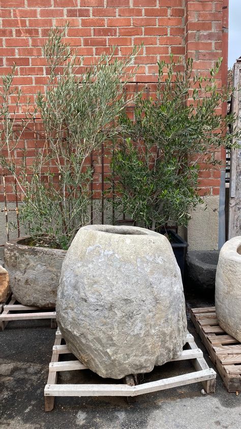 Large cement handcrafted planter pot Diy Limestone Planter, Limestone Planter, Tuscan Landscape Design, Concrete Yard, Oversized Planters, Rock Planters, Big Planters, Stone Planter, Rock Plants