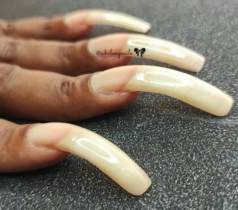 Natural Curved Nails, Tickle Torture, Nail Glam, Long Natural Nails, Long Toenails, Long Fingernails, Curved Nails, Strong Nails, Nail Inspiration