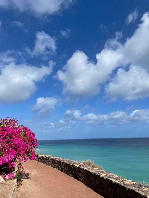 Canary Islands Aesthetic, Fuerteventura Aesthetic, Lanzarote Aesthetic, Canary Islands Fuerteventura, Flowers Beach, Holiday Scrapbook, Pink Travel, Holiday 2022, Cruel Summer