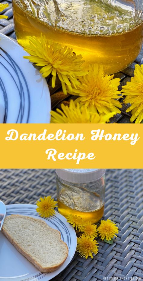 Dandelion Honey Recipe, Dandelion Syrup, Dandelion Uses, Dandelion Honey, Edible Flowers Recipes, Dandelion Flowers, Foraging Recipes, Dandelion Jelly, Foraged Food