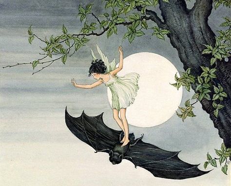 𝐢𝐳𝐳𝐢𝐞 🕊 on Twitter: "oh to be lost inside an old vintage fantasy book… " Ida Rentoul Outhwaite, Picnic Spread, Fantasy Book, Woven Blanket, Old Vintage, Wall Decoration, Bat, Lost