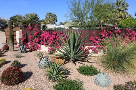 Garden Remodel, Low Maintenance Landscaping Front Yard, Low Maintenance Shrubs, Front Yard Decor, Waterwise Garden, Landscaping Simple, Drought Tolerant Landscape, Front Yard Design, Gravel Garden