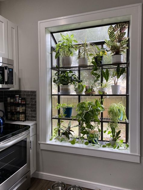 Indoor Plant Hanging Ideas Window, Bathroom Garden Window, Big Window Sill Decor, Window Privacy Ideas Plants, Plants On Window Sill Aesthetic, Plant Shelves In Window, Plant Window Ideas, Bathroom Window Plants, Plants Kitchen Window