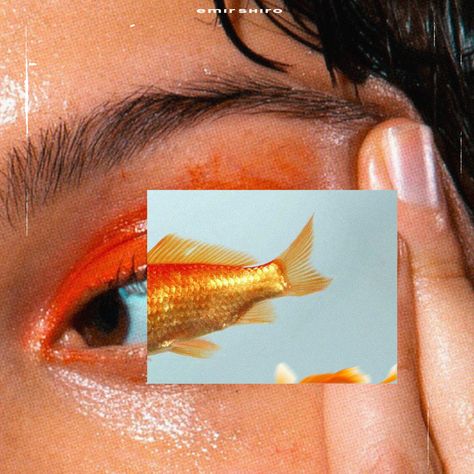 Goldfish, Collage