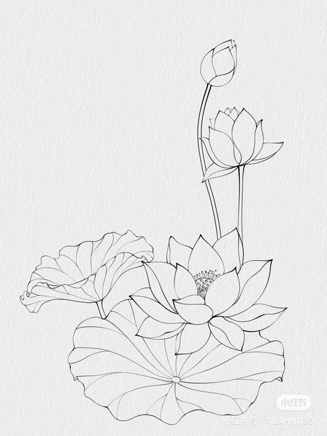 Lotus Colouring Page, Lotus Plant Drawing, Lotus Bud Drawing, How To Draw A Lotus Flower, Colour Flower Drawing, Lotus Leaf Drawing, Lotus Tattoo Drawing, Lotus Line Drawing, Japanese Flower Painting